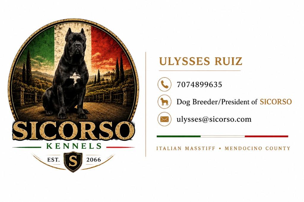 Ulysses Ruiz